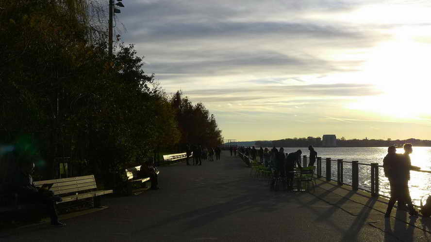 NYC_2017-11-26 15-46-11_P1140485